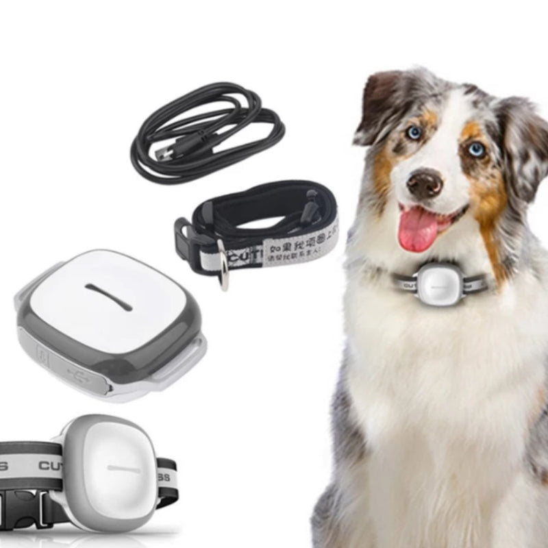 Collared Cat and Dog Tracker Pet Locator Pet