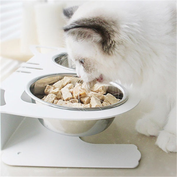 Anti-falling Cat and Dog Feeding Water Bowl