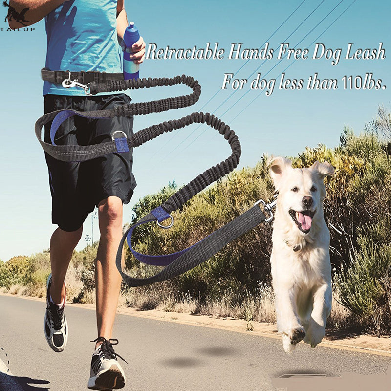 multi-function running reflective pull dog leash double elastic dog leash traction