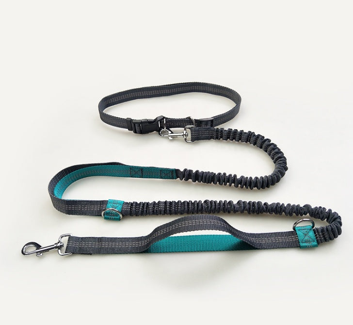 multi-function running reflective pull dog leash double elastic dog leash traction