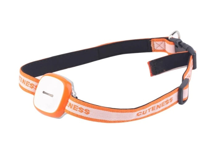 Collared Cat and Dog Tracker Pet Locator Pet