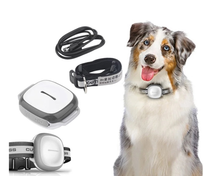 Collared Cat and Dog Tracker Pet Locator Pet