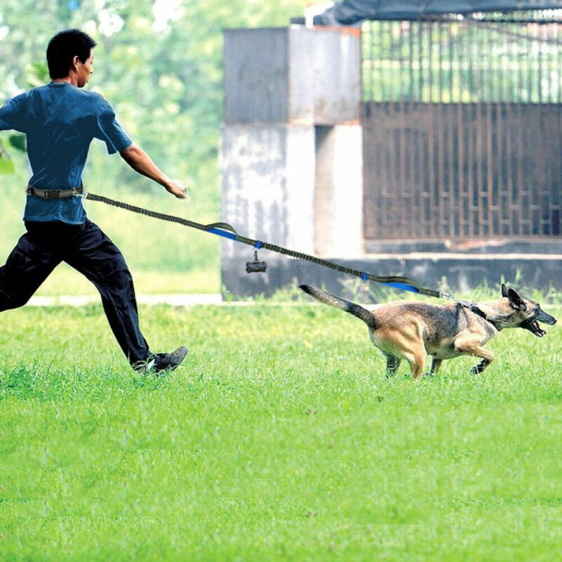 multi-function running reflective pull dog leash double elastic dog leash traction