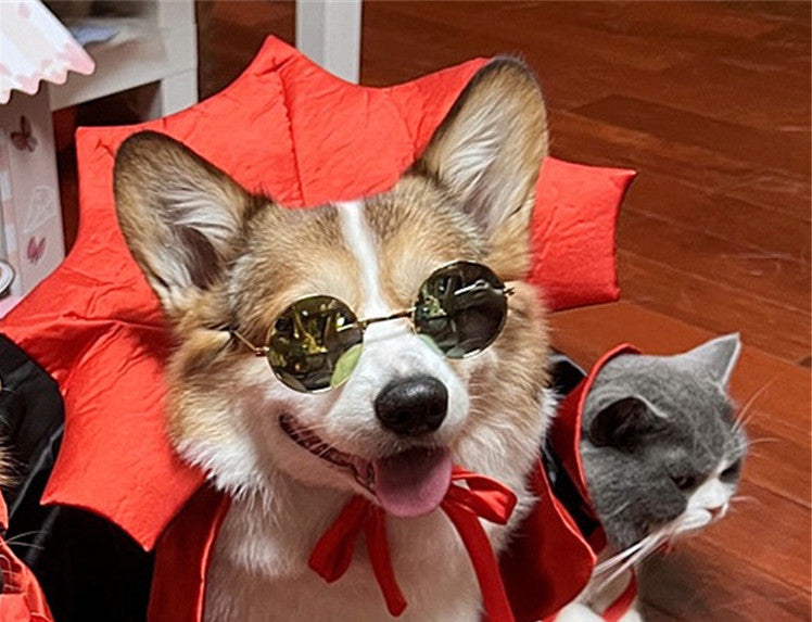 Halloween Pet Costume pet Halloween Cape Vampire King