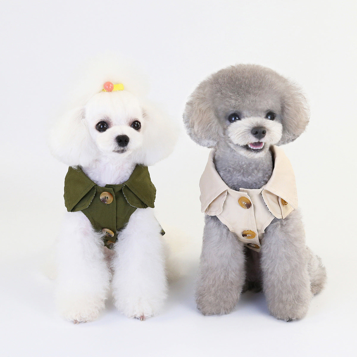 Clothes for pets