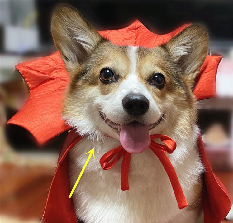 Halloween Pet Costume pet Halloween Cape Vampire King